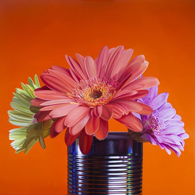 Gerberas.